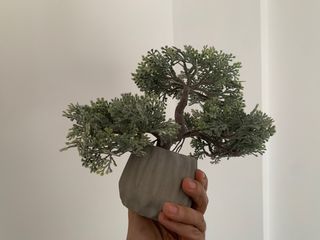 Planta bonsai decorativa IKEA