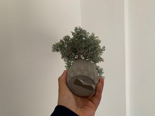 Planta bonsai decorativa IKEA