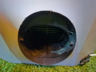 Campana Extractora Bosch DHL585B