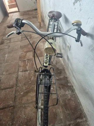 Bicicleta Señora Negra