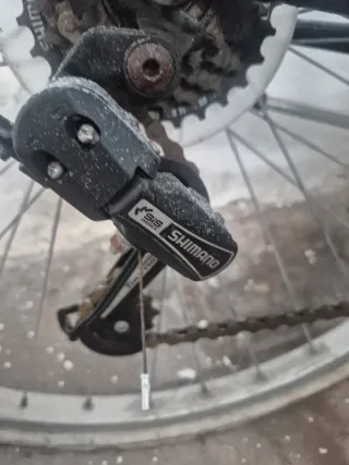 Bicicleta Señora Negra