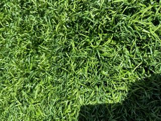 Cesped artificial reciclado