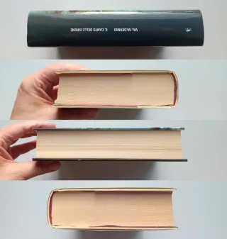 Il canto delle sirene di Val McDermid