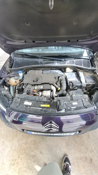 Citroen C4 Cactus 2015