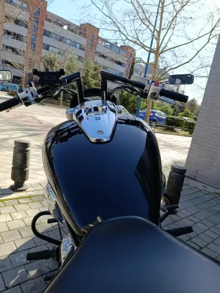 Manillar personalizado M1800R