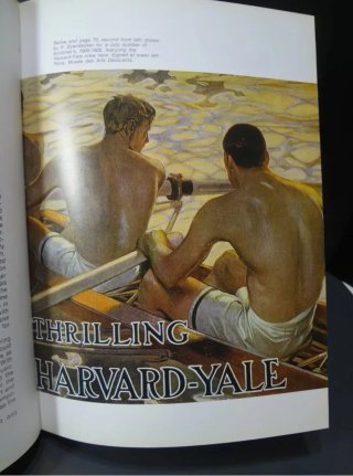 Libro The poster in History