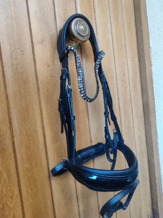 Cabezada caballo charol brillante