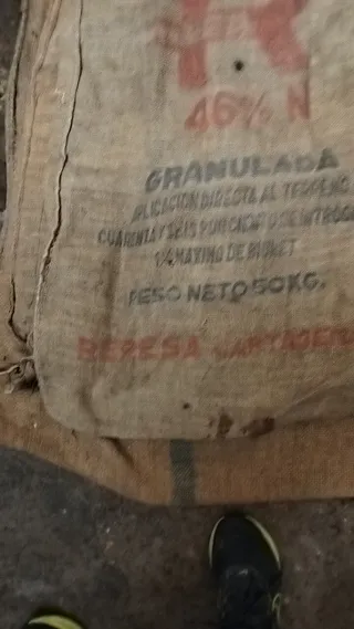 Antigüedades scoas vintage