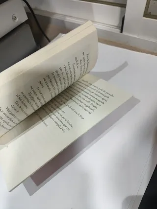 Libro Hola estupid mosntre pelut