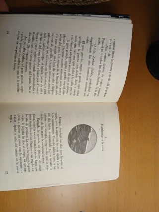 Historia de una gaviota y del gato que le ensen...