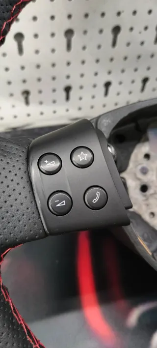 Volante para Volkswagen Eos/ Golf 5 con funda