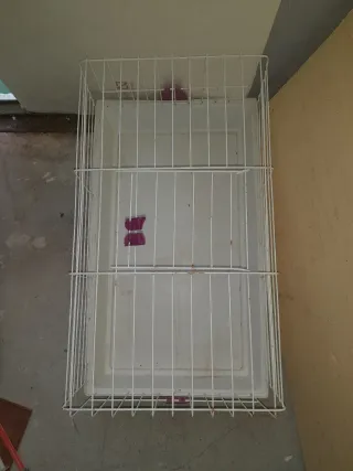 Jaula blanca con detalles morados