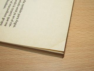 2 novelas juveniles Mi gato Angus Faldas Renninson