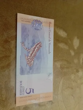 Lote 4 Billetes Venezuela 2, 5, 20, 100 Bs