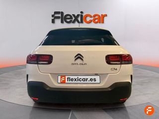 Citroën C4 Cactus PureTech 81KW (110CV) S&S Shine