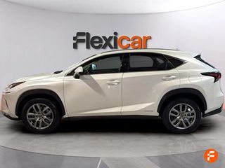 Lexus NX 2.5 300h Executive 4WD