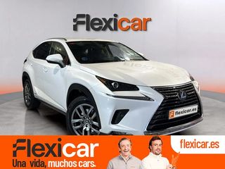 Lexus NX 2.5 300h Executive 4WD