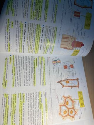 Biologia 2n Batxillerat / 2009
