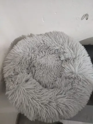 Arenero y cama para gato