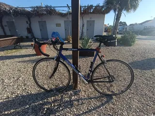 Bicicleta Bulls de carretera