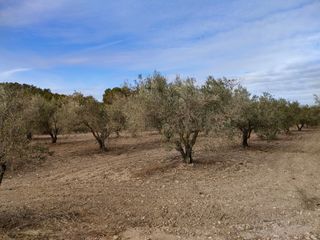 Ideal inversor. Finca en Sax, Alicante con naves.