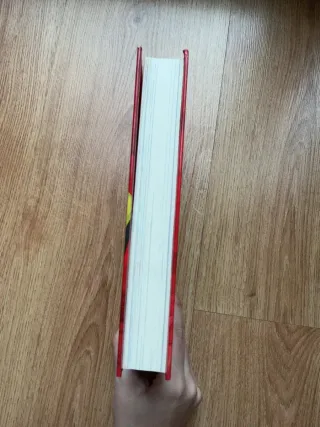 Libro- Agencia familia feliz