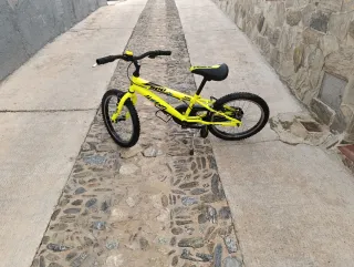 Bicicleta infantil Junior