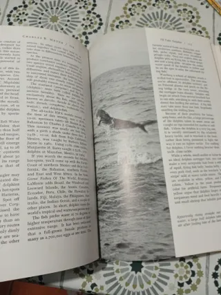 Juegos de pesca ,un océano de éxito