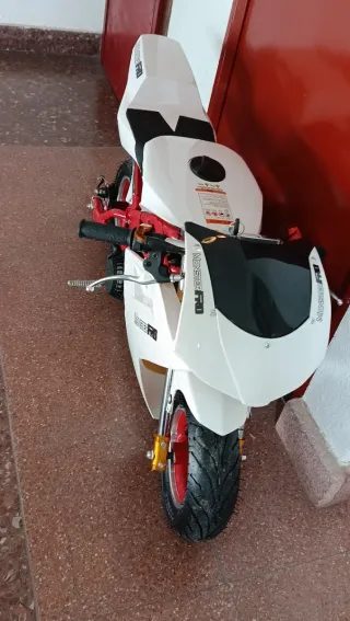 Minimoto Réplica Ducati