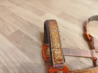 Cabezada de cuadra para pony