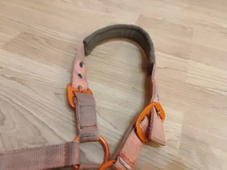 Cabezada de cuadra para pony