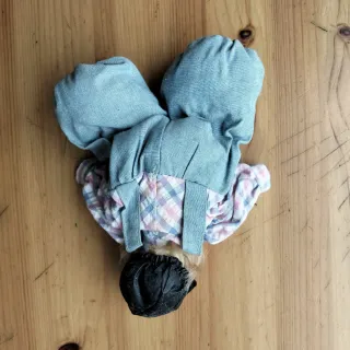 Bambola porcellana country