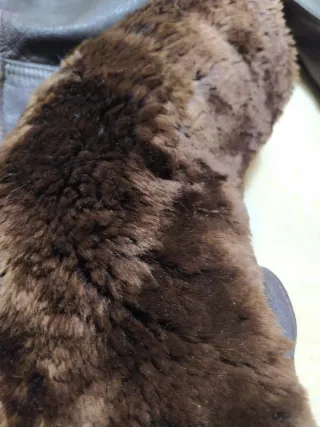 Chaqueta de cuero vintage canadiense