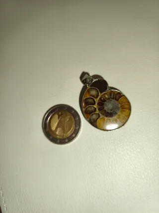 Colgante Amonites Natural