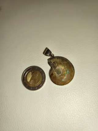 Colgante Amonites Natural