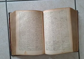 Dizionario italiano Petrocchi