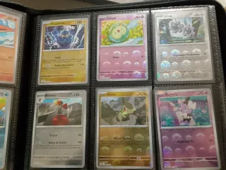 Lote pokeball Llama blanca y Fulgor Negro