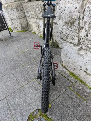 Bicicleta Descenso DH