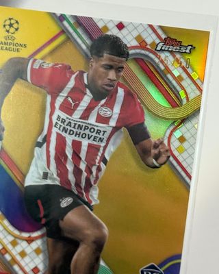Ryan Flamingo 25/50 RC PSV Eindhoven topps finest