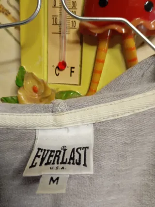 Felpa con cappuccio Everlast grigia