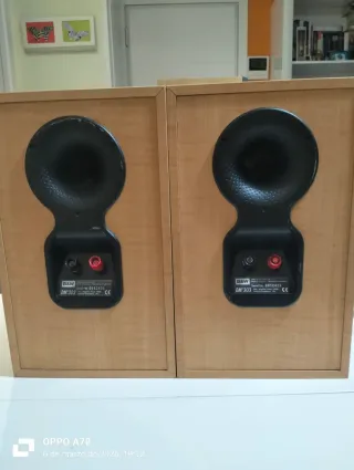 Altavoz B&W DM303 LCR3 100W Gris/Plata