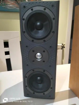 Altavoz B&W DM303 LCR3 100W Gris/Plata