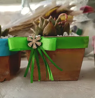 Set 4 Piante grasse in vasi decorati