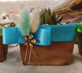 Set 4 Piante grasse in vasi decorati