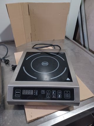 Placa de inducción profesional