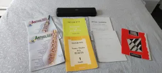 Flauta travesera plateada con accesorios