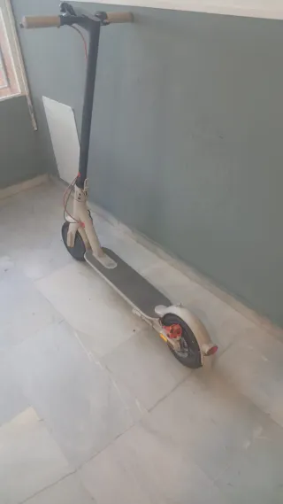3 Patinetes, 2 Xiaomi Pro 2 y 1 Mi Electric Scoote