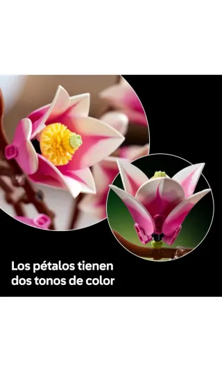 LEGO Botanicals Ramas de Magnolia 11510