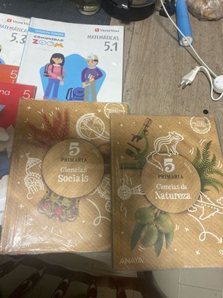 Libros 5to primaria