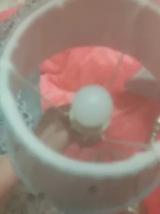 Dos lámparas preciosas